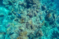 Great Barrier Reef