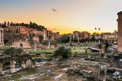 Roman Forum, Palatine Hill