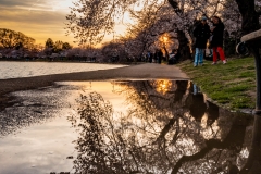 Sunset-at-Tidal-Basin