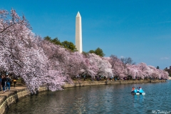 View-from-MLK-Memorial