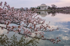 View-from-Roosevelt-Memorial